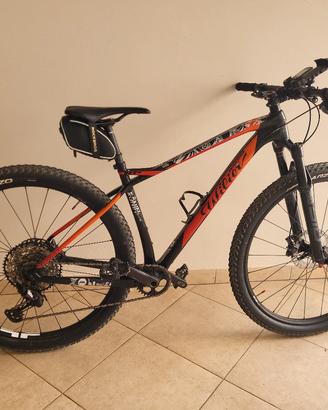 bici in carbonio.