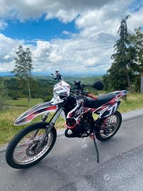 Beta RR 50 2018