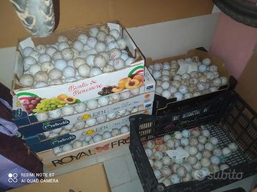 Palline da golf - campo pratica 