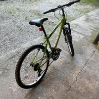 Bici Alpine per Teenager