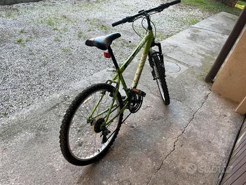 Bici Alpine per Teenager