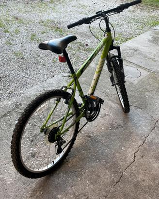 Bici Alpine per Teenager