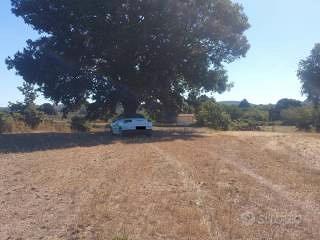 Terreno agricolo oriolo romano vt - Vista 4