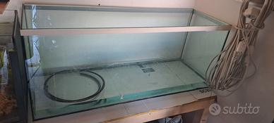 acquario 300l