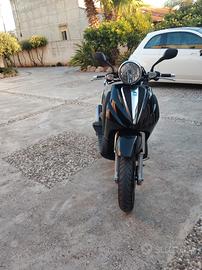 Beverly cruiser 250 