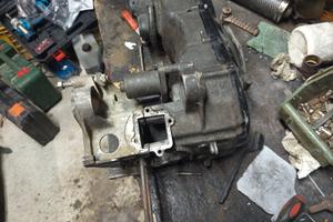 Carter Minarelli orizzontale 