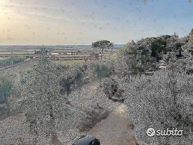 Appartamento – Locorotondo, Bari - Vista 2