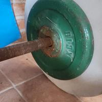 dischi palestra