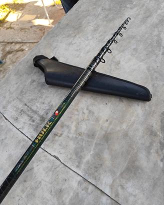 Canna Hulk azione 5 lunghezza 6 metri