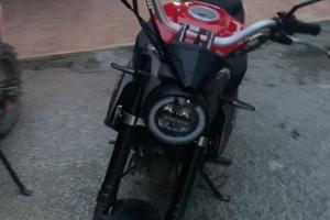 Lem brutus 125 omologato
