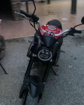 Lem brutus 125 omologato