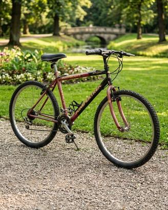 Bici MTB da uomo 26”