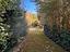 Immagine 12