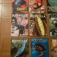 Reptilia rivista di rettili 12 numeri