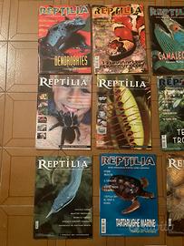 Reptilia rivista di rettili 12 numeri