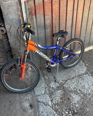 Bicicletta ragazzo Nuzzi