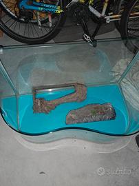 terraio per tartarughe 