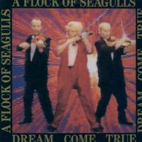 A flock of seagulls - dream come true lp