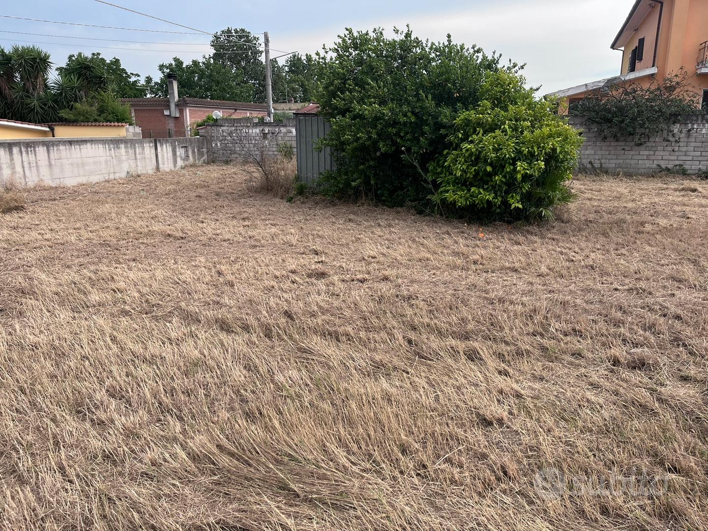 Terreno agricolo 2000mq - Vista 4