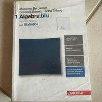 Libro Algebra.blu 1