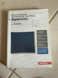 Libro Algebra.blu 1