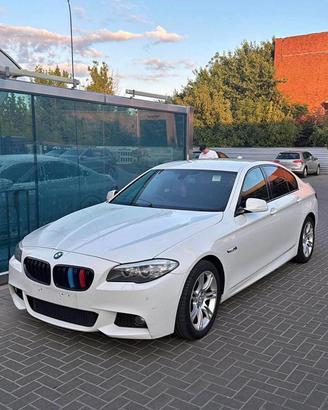 Pezzi Bmw 520d F10 2013