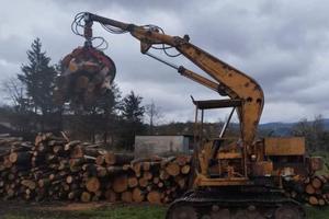 escavatore forestale 