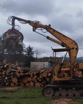 escavatore forestale 