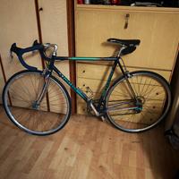 bici Fontana