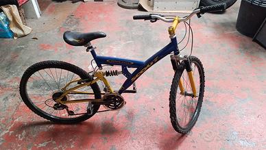 bicicletta 