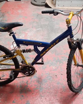 bicicletta 