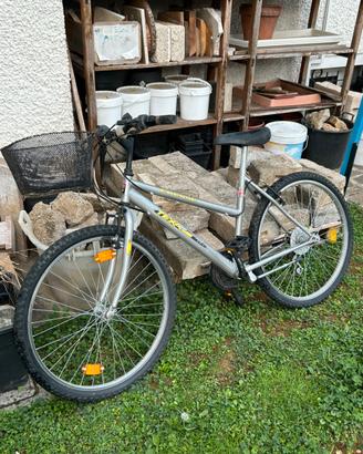 Bici MTB