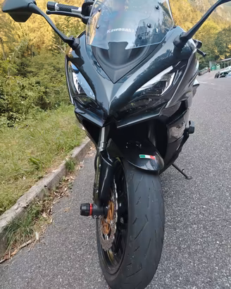 Kawasaki z 1000 sx 2017