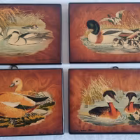 Quadretti con anatre