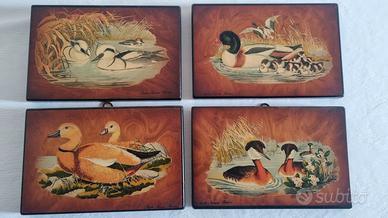 Quadretti con anatre