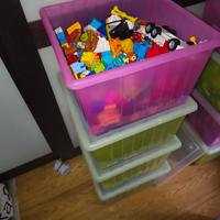 duplo