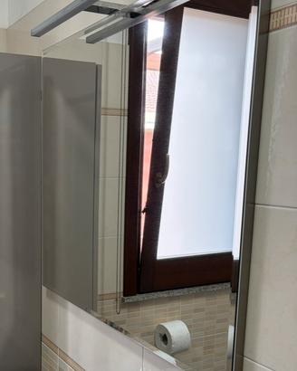Specchio da bagno moderno con illuminazione a led