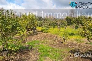Terreno agricolo 14.000 mq a giarre