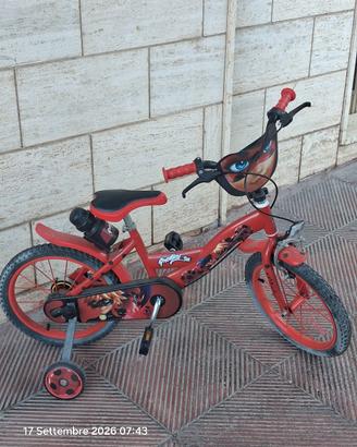 bicicletta per bambini. 