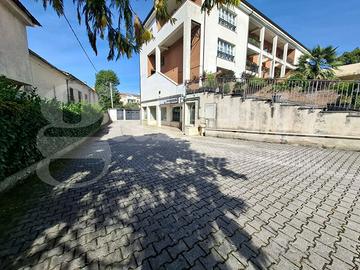 Negozio Atina [2025/033ACG]