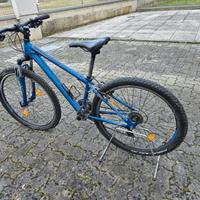 Bicicletta mountain bike
