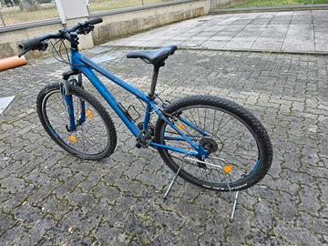 Bicicletta mountain bike
