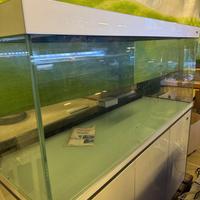 AMTRA PURA NATURA 470lt + SUPPORTO