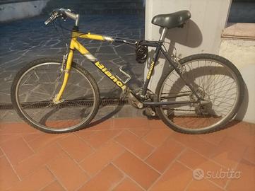 Bicicletta da corsa, donna e montain bike