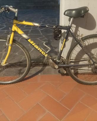 Bicicletta da corsa, donna e montain bike