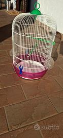 gabbietta per uccellini