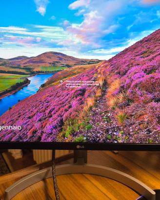 Monitor LG Full HD ML600S 24 pollici