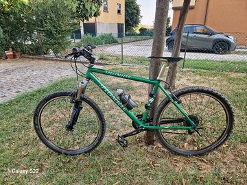 MTB uomo Specialized Race Only