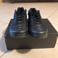 Nike TN Air Max Plus ragazzo + Asics trekking