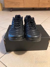 Nike TN Air Max Plus ragazzo + Asics trekking